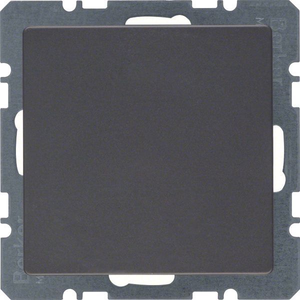 Blind plug centre plate, Q.1/Q.3, ant. velvety, lacq. image 2