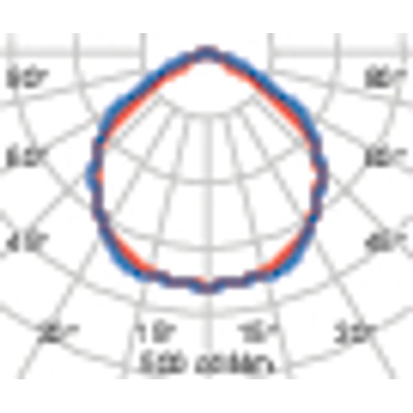 SPIDER+10 KIT S/EW 10 3000K BLACK image 6