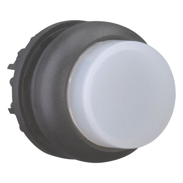M22S-DRLH-W Illuminated pushbutton actuator, RMQ-Titan, Extended, maintained, White, Blank, Bezel: black image 14