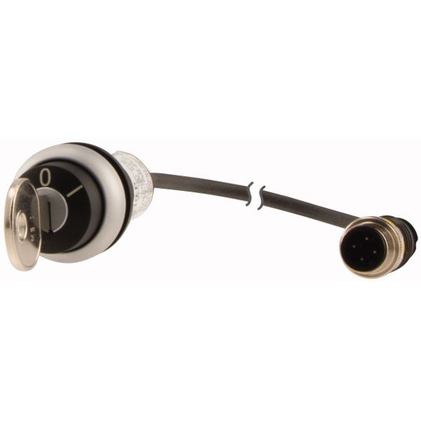 C22-WS-MS1-K10-P1 Key-operated actuator, RMQ compact solution, momentary, 1 N/O, Cable (black) with M12A plug, 4 pole, 0.2 m, 2 positions, MS1, Bezel: titanium image 3