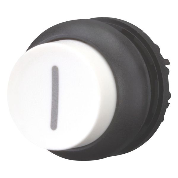 M22S-DH-W-X1 Pushbutton, RMQ-Titan, Extended, momentary, White, inscribed, Bezel: black image 5