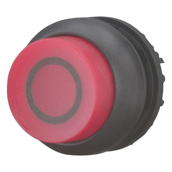 M22S-DRLH-R-X0 Illuminated pushbutton actuator, RMQ-Titan, Extended, maintained, red, inscribed, Bezel: black image 4