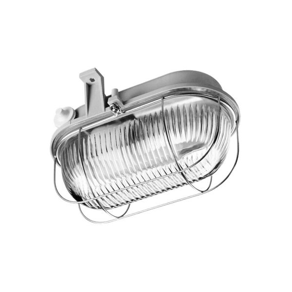 PANLUX Glass for OVAL 100W light fixture clear image 1