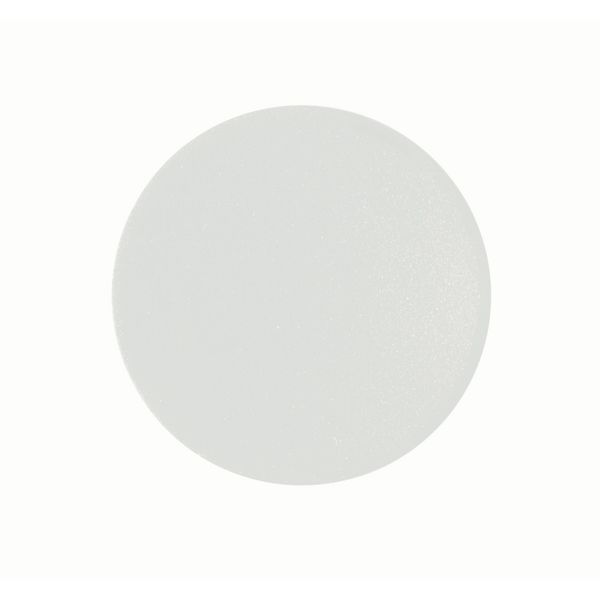 Button plate, flush, white image 1