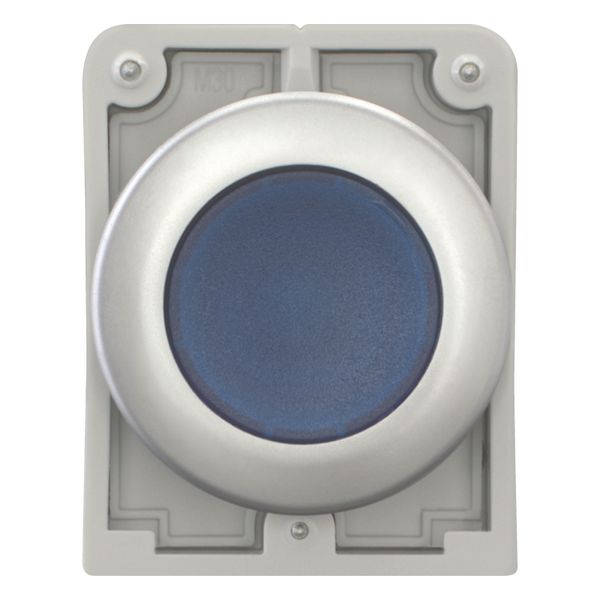 M30C-FDL-B Illuminated pushbutton actuator, RMQ-Titan, Flat, momentary, Blue, Blank, Metal bezel image 10