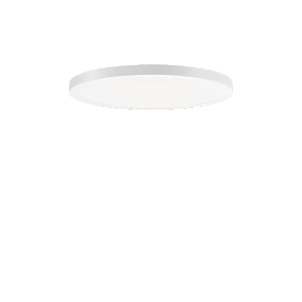 FL R+ 333 RE 8/23 S/A 830 WH9016 DALI OP image 1