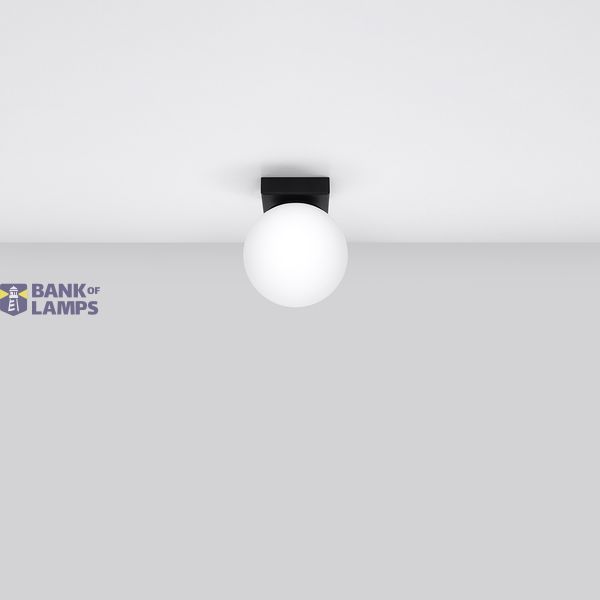 CEILING LAMP YOLI 1 BLACK G9 1X12 IP20 image 6