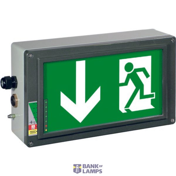 Ex-escape sign luminaires EX-LITE N with integrated emergency light function for zone 1/21, Pictogram: DIN 4844, Arrow: 6 Clock image 1