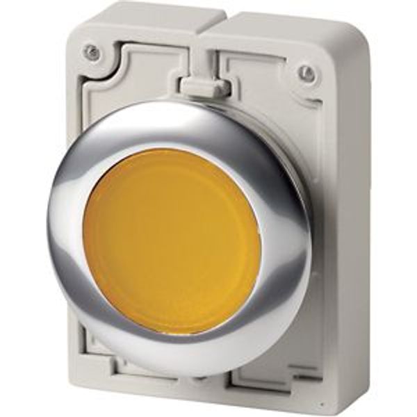 M30C-FDRL-Y Illuminated pushbutton actuator, RMQ-Titan, Flat, maintained, yellow, Blank, Metal bezel image 4