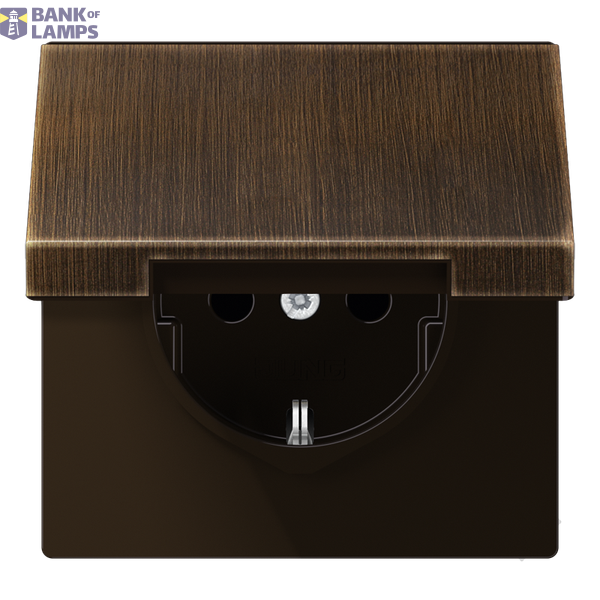 Cover for SCHUKO® sockets, hinged cover, brass, LS series, antique brass image 1