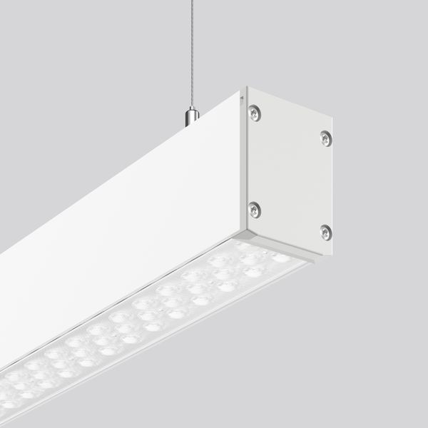 LINEDO single IP54, 40 W, 6100 lm, 830, white, on/off Pendant luminair image 2