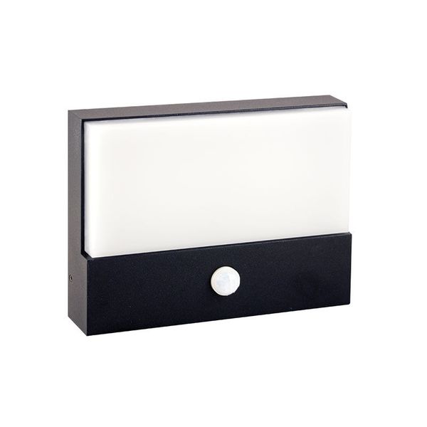Kerberos LED light with motion sensor, 9W, 4000K, IP65, black color image 1