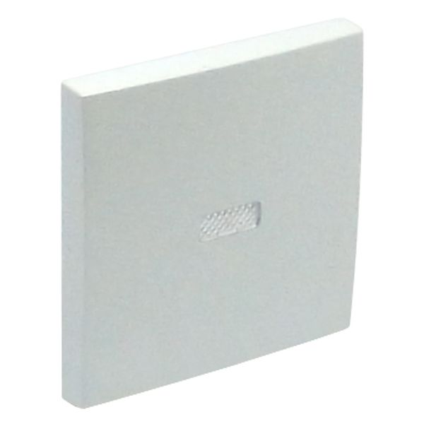 ROCKER F/LIGHTED SWITCHES ICE image 1