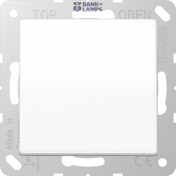 Central plate for SCHUKO® sockets, hinged cover, thermoplastic, AS series, alpine white image 1