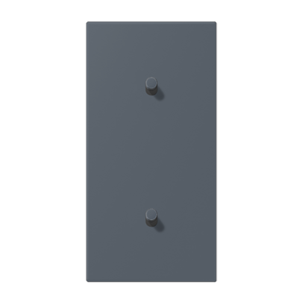 Centre plate with toggle lever "cylinder LC12-20R0262 image 1