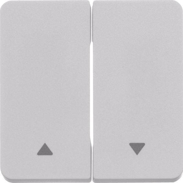 Rocker 2gang imprinted arrow symbol, W.1, p. white, matt, plastic image 2