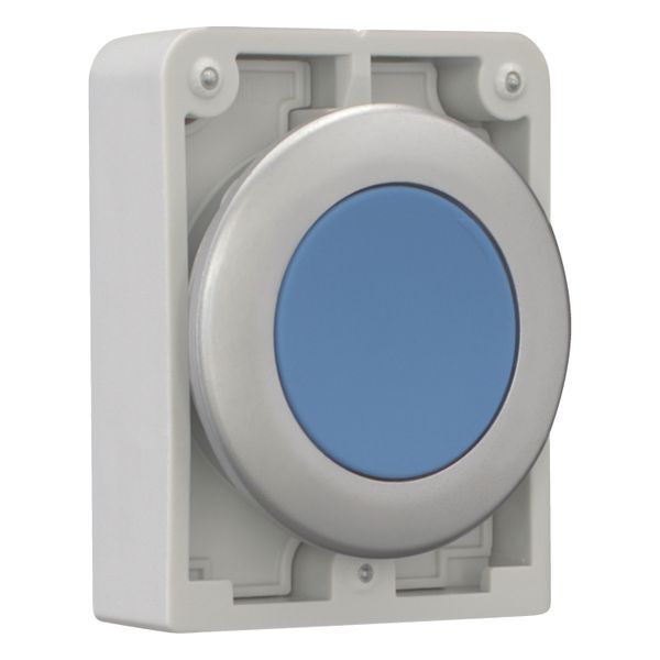 M30C-FDR-B Pushbutton, RMQ-Titan, Flat, maintained, Blue, Blank, Metal bezel image 7
