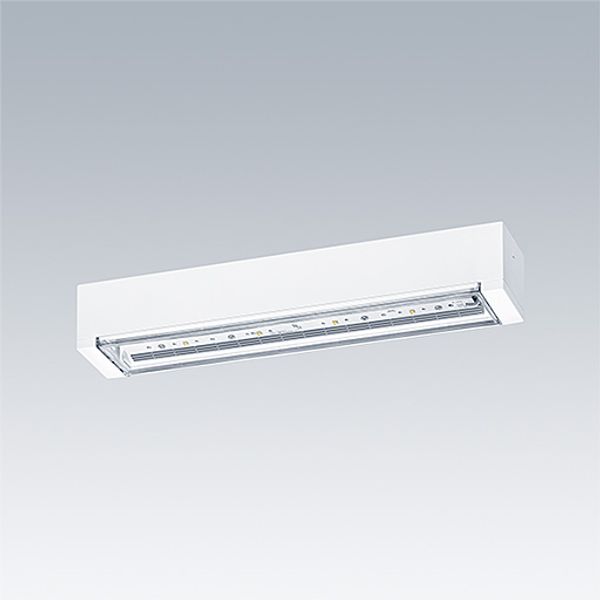 VOYAGER ONE MS ANT HP ECS WH IP65 - LED emergency luminaire image 1