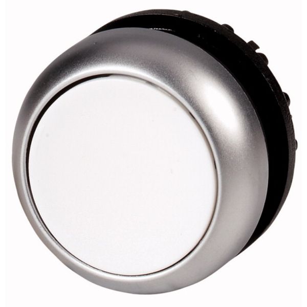 M22-DRL-W Illuminated pushbutton actuator, RMQ-Titan, Flush, maintained, White, Blank, Bezel: titanium image 1