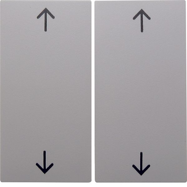 Rocker 2gang imprinted arrows symbol, S.1/B.3/B.7, p. white, matt, pla image 1