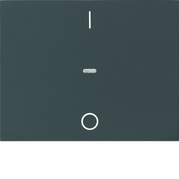 Cover I/O for 1gang for push-b. module, clearlens, K.1, ant., matt image 2