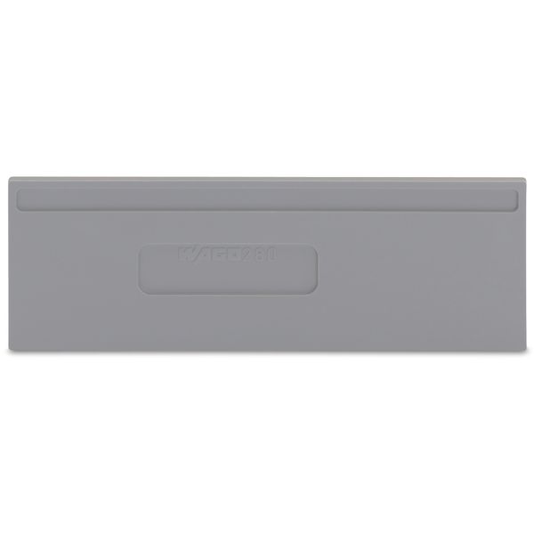 Separator plate 2 mm thick oversized gray image 1
