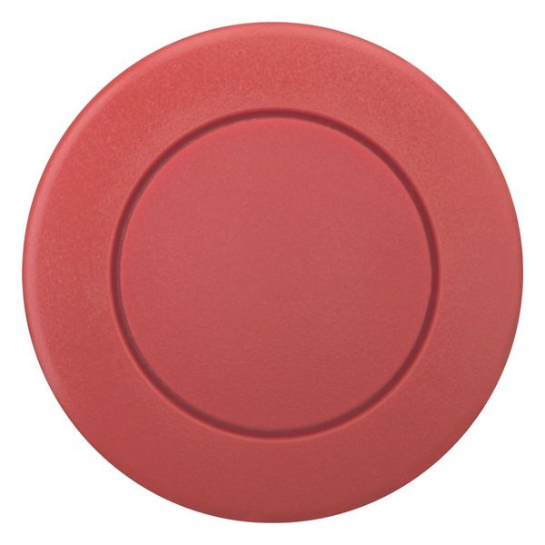 M22S-DP-R Mushroom actuator, RMQ-Titan, Mushroom, momentary, Mushroom red, red, Blank, Bezel: black image 8