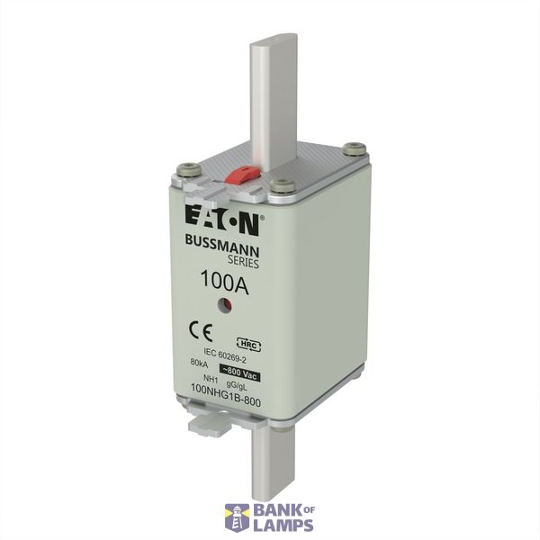 Fuse-link, LV, 100 A, 800 V AC, NH1, Class gG/gL image 4