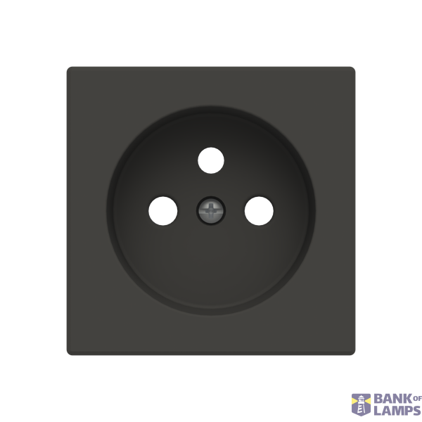 Cover french socket image 1