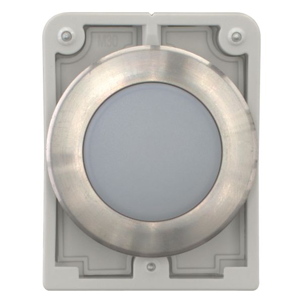 M30I-FL-W Indicator light, RMQ-Titan, flat, white, Front ring stainless steel image 5