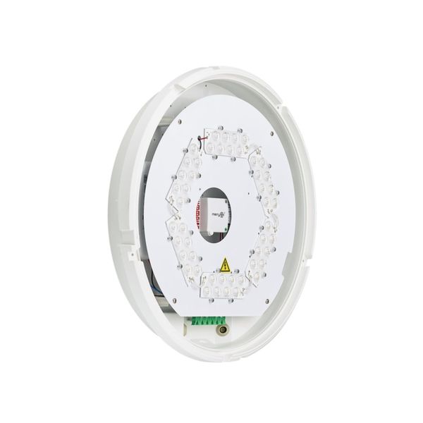 WL140V LED34S/830 PSED ELB3 WH image 4