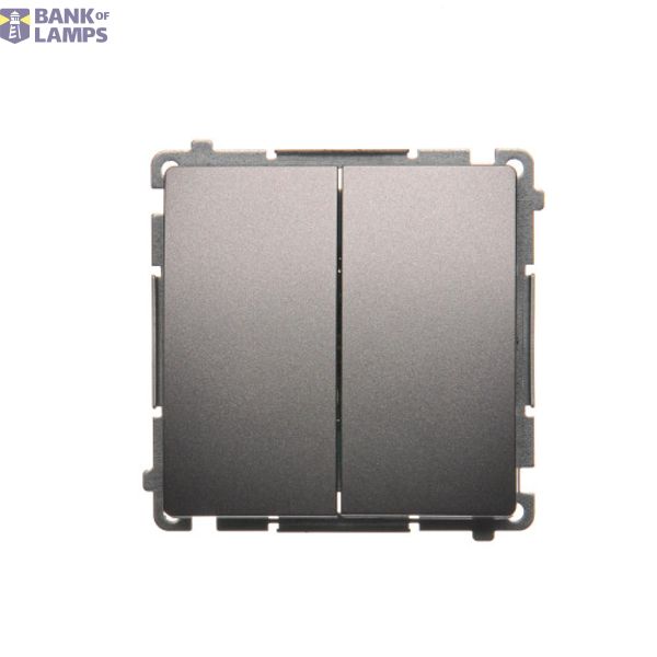 Two gang switch, (module), 16AX, Screw, Inox, metallized image 1