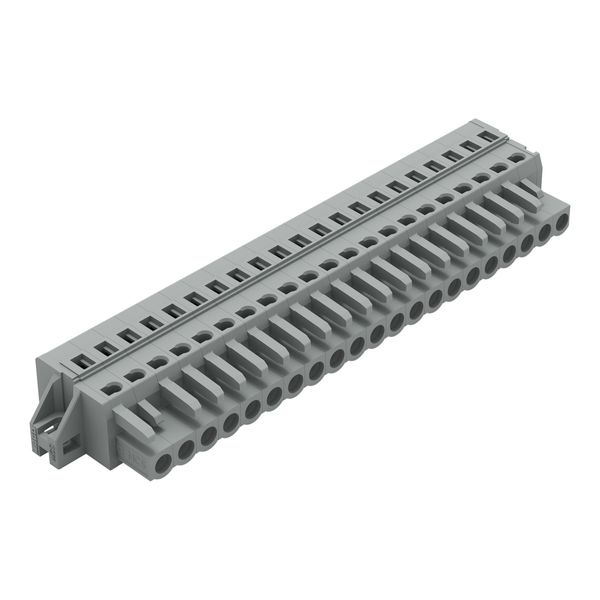1-conductor female connector CAGE CLAMP® 2.5 mm² gray image 3