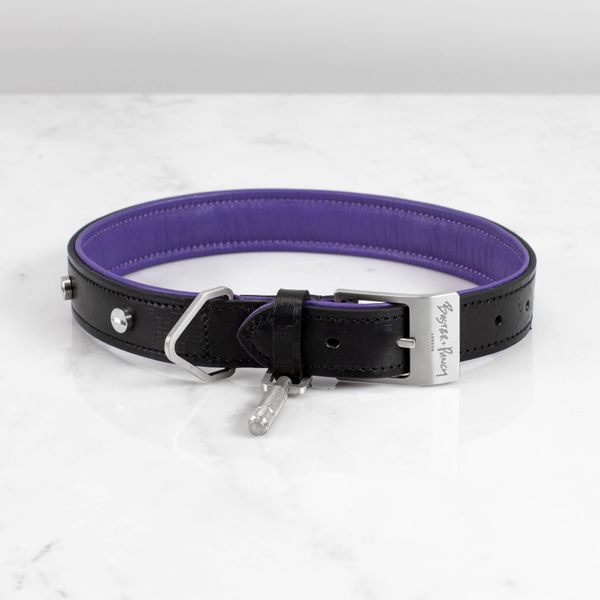 DOG COLLAR / CROSS / X-LARGE / BLACK / PURPLE / STEEL image 1