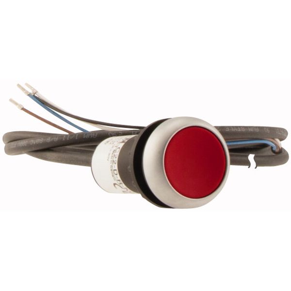 C22-D-R-K01-P65 Pushbutton, Flat, momentary, 1 NC, Cable (black) with non-terminated end, 4 pole, 3.5 m, red, Blank, Bezel: titanium image 4