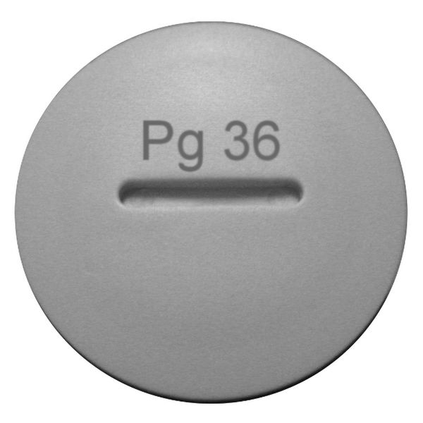Blank Plug PG 29 image 1
