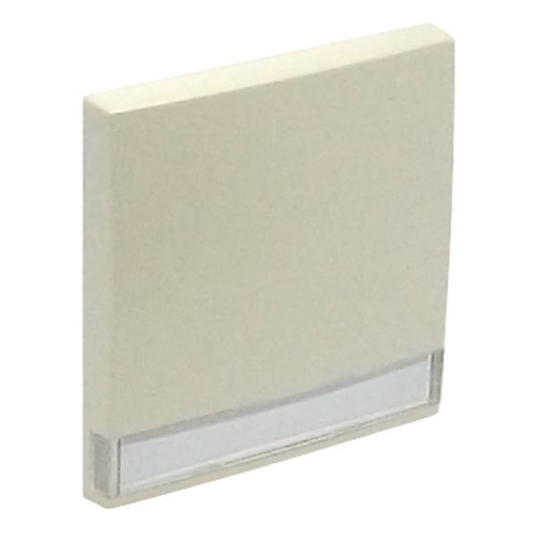 ROCKER F/SWITCHES W/IDENT CARD PEARL image 1