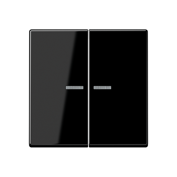 JUNG HOME push-button 2-gang BTA17102BFSW image 1