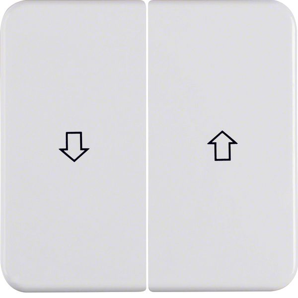 Rocker 2gang imprinted arrow symbol, splash-proteced flush-mtd IP44, p image 1