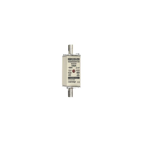 Fuse-link NH000 gG 500VAC 100A live tags Double indicator By 3 image 1