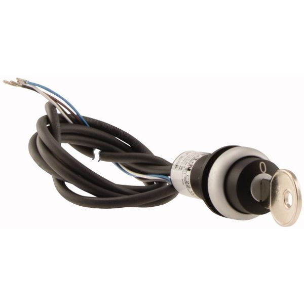 C22-WRS-MS1-K02-P65 Key-operated actuator, RMQ compact solution, maintained, 2 NC, Cable (black) with non-terminated end, 4 pole, 3.5 m, 2 positions, MS1, Bezel: titanium image 4