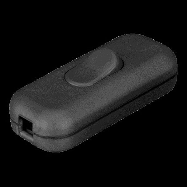 Cord Switch Single-pole Black 2P + Earth image 2