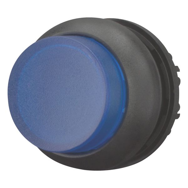 M22S-DRLH-B Illuminated pushbutton actuator, RMQ-Titan, Extended, maintained, Blue, Blank, Bezel: black image 2
