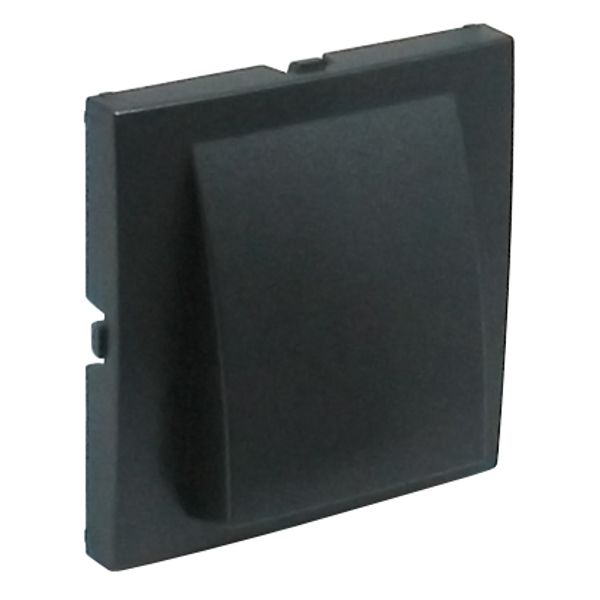 COVER PLATE F/WALL ROSES GRAY image 1