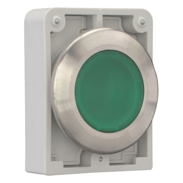 M30I-FDL-G Illuminated pushbutton actuator, RMQ-Titan, flat, momentary, green, blank, Front ring stainless steel image 11