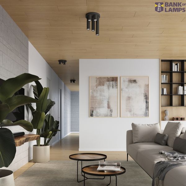 CEILING LAMP LAGOS 5P BLACK 5XGU10 image 9