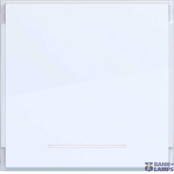 Rocker single, large text field, clear lens, A.x/C.x, light white matte image 1