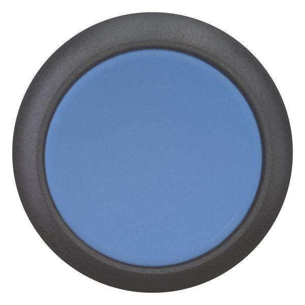 M22S-D-B Pushbutton, RMQ-Titan, Flat, momentary, Blue, Blank, Bezel: black image 9