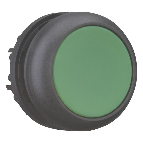 M22S-D-G Pushbutton, RMQ-Titan, Flat, momentary, green, Blank, Bezel: black image 8