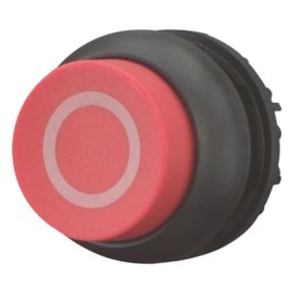 M22S-DH-R-X0 Pushbutton, RMQ-Titan, Extended, momentary, red, inscribed, Bezel: black image 2